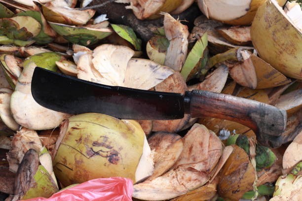 Coconut-Waste
