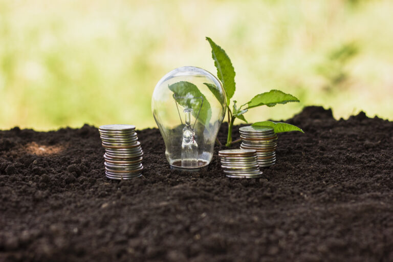 India Rising Eco Startups: Green Innovation for a Better Tomorrow