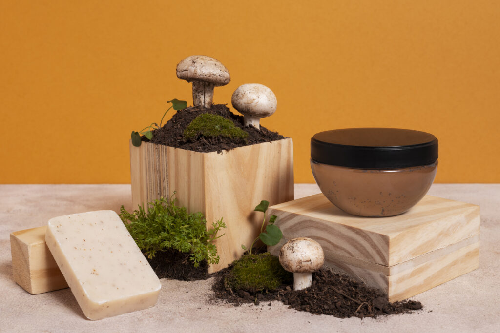 Mushroom Leather Goods Startup