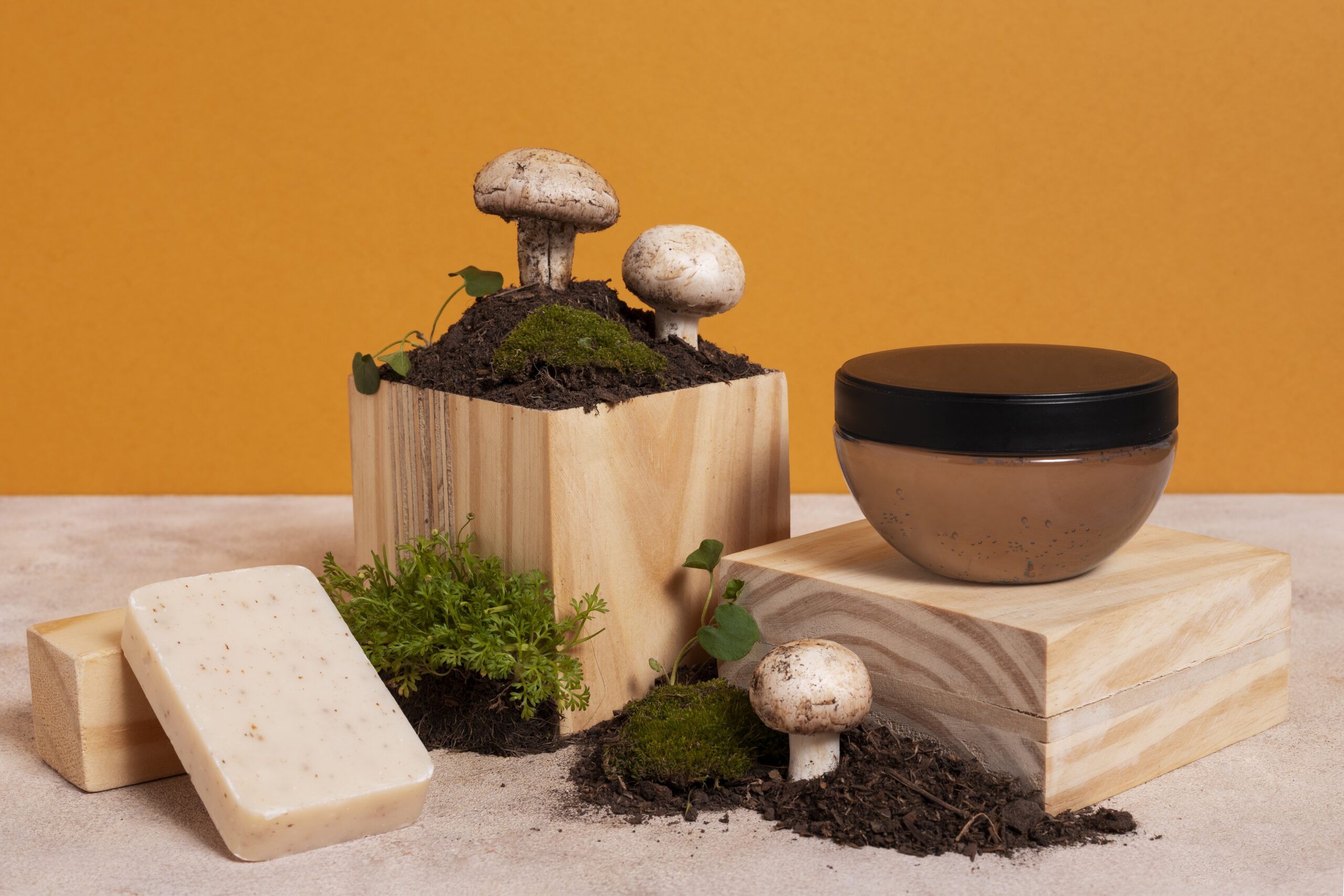 Mushroom Leather Goods Startup