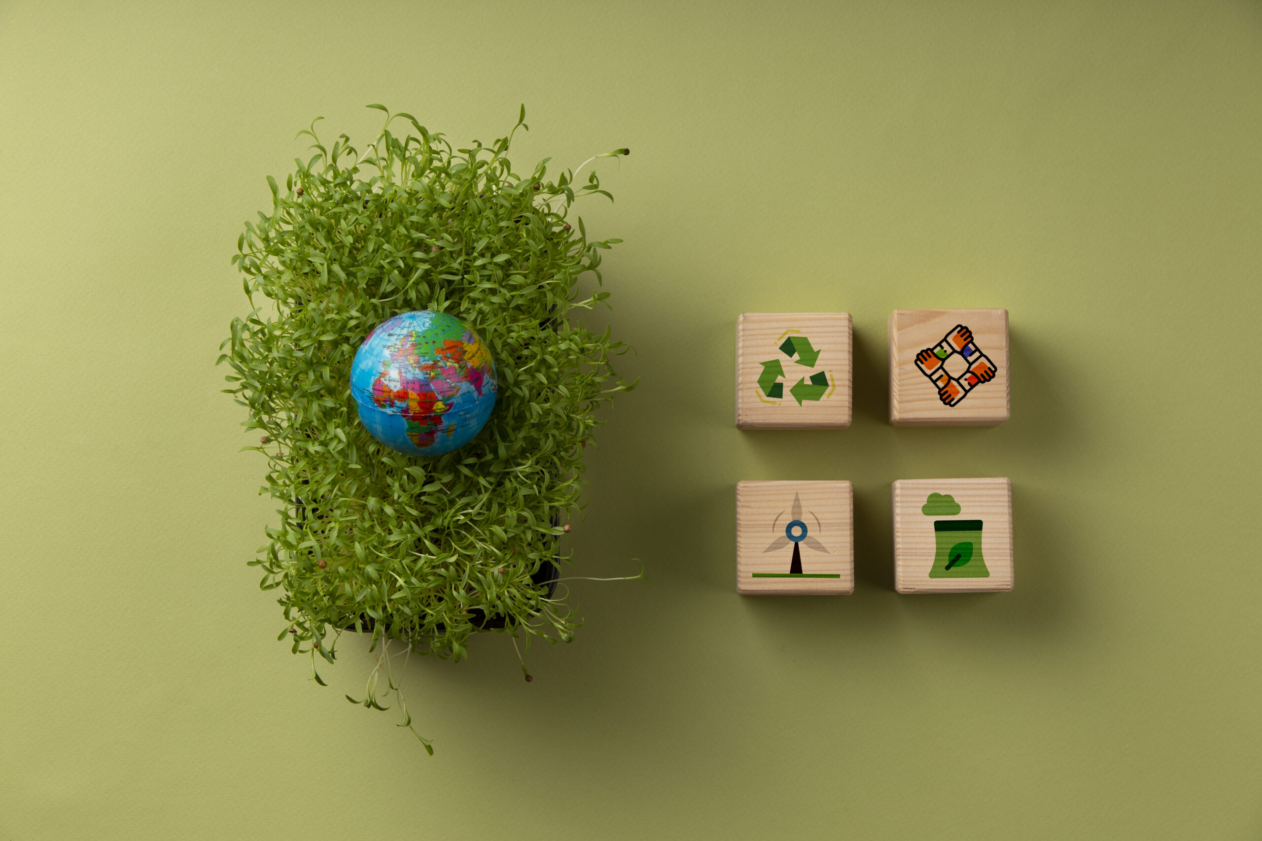Sustainable Brands to Watch in India: A Rising Green Revolution