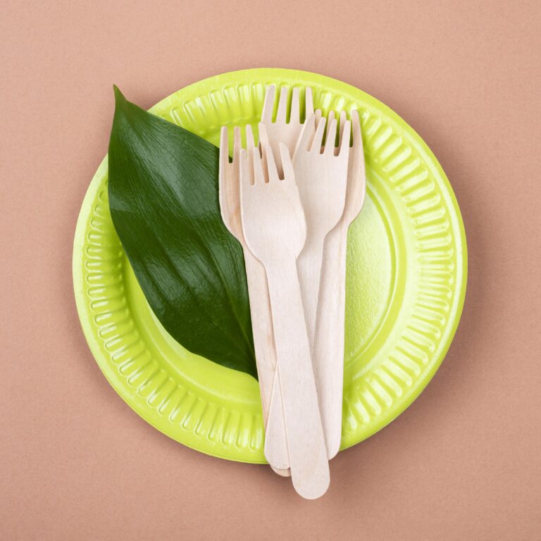 Biodegradable Cutlery for Street Food in India: The Greener Bite Biodegradable Cutlery for Street Food in India